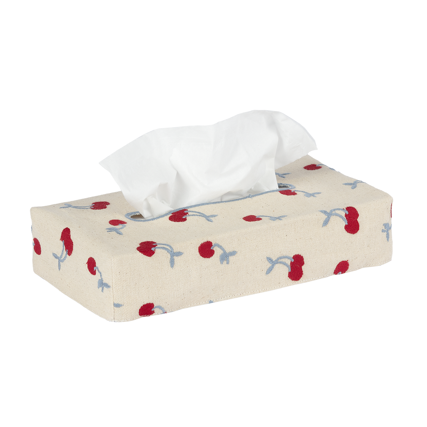 Skinny Embroidered Tissue Box Cover