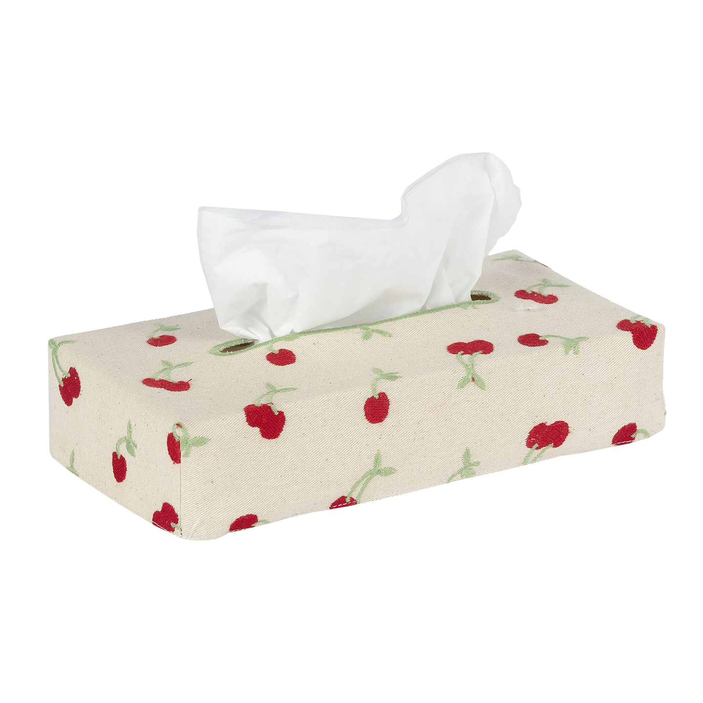 Skinny Embroidered Tissue Box Cover