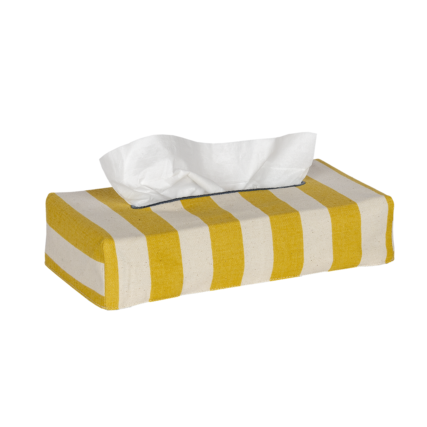 Skinny Tangier Stripe Tissue Box Cover