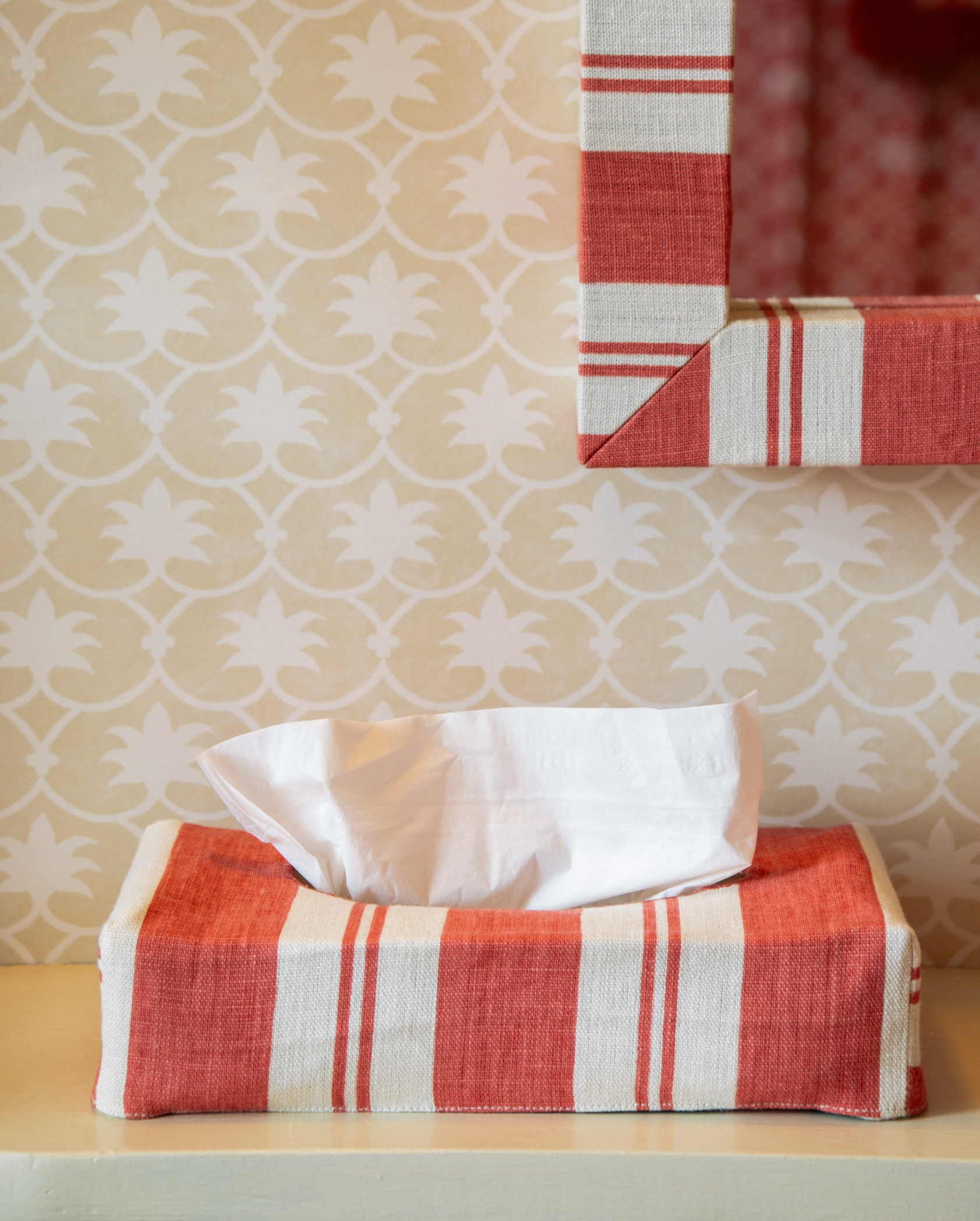 Skinny Raj Stripe Linen Tissue Box Cover - Red