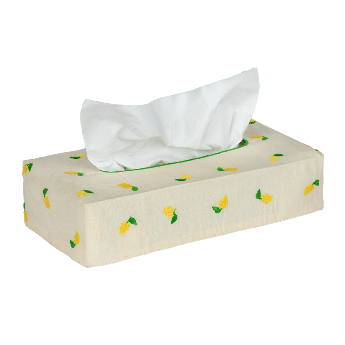 Skinny Embroidered Tissue Box Cover
