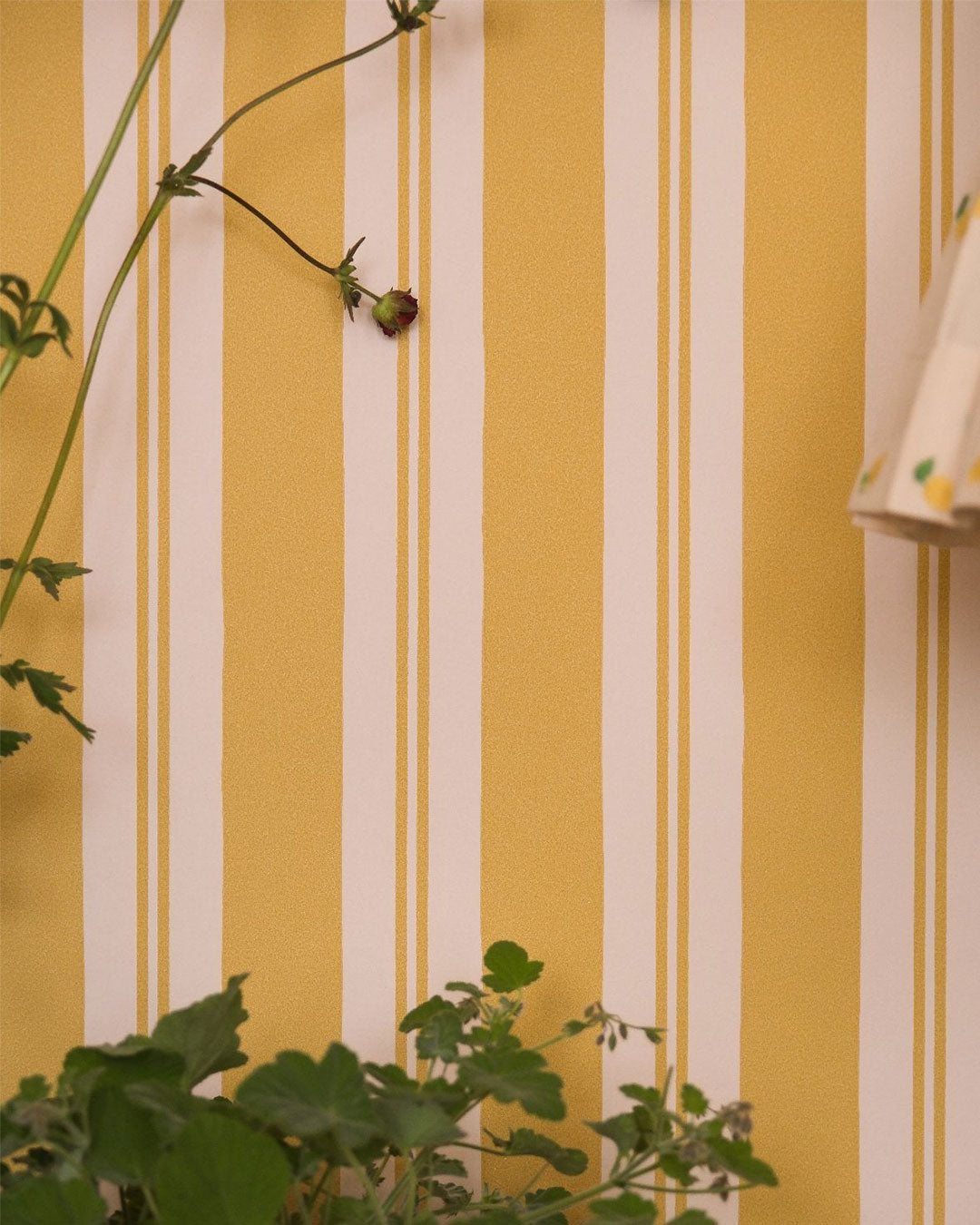 Raj Mustard Stripe Wallpaper