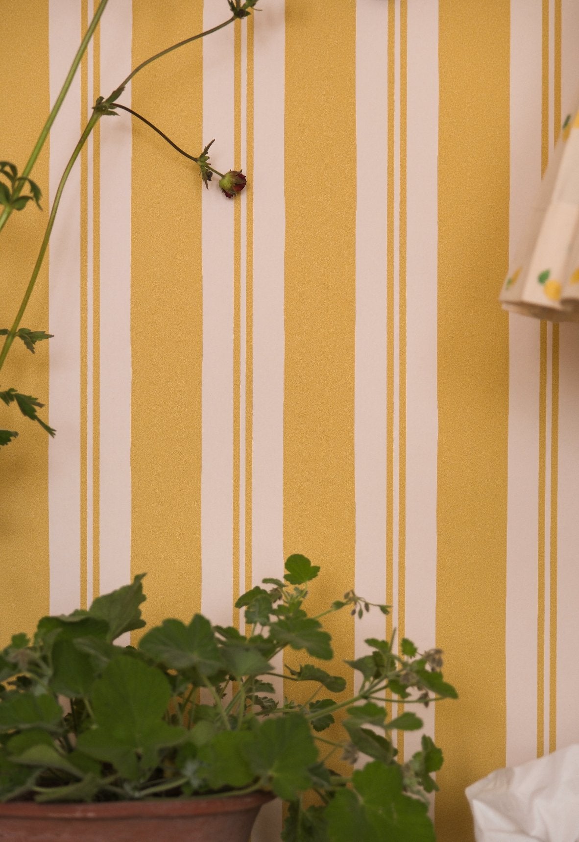 Raj Mustard Stripe Wallpaper - Alice Palmer & Co