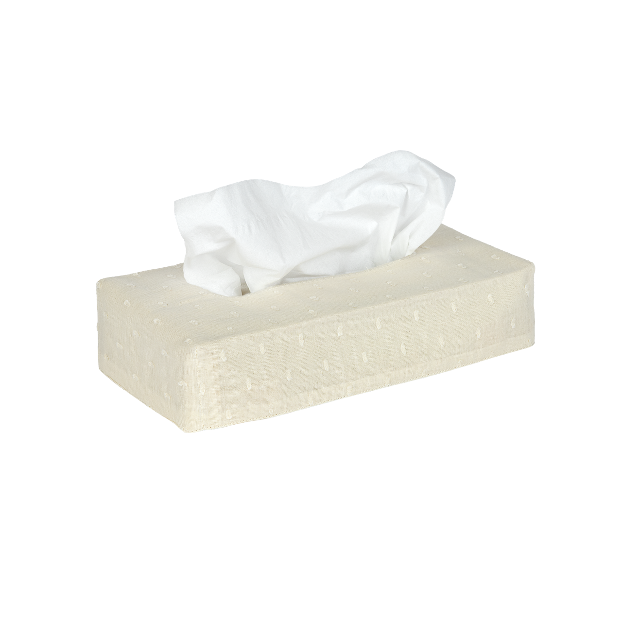 Skinny Embroidered Swiss Dot Tissue Box Cover