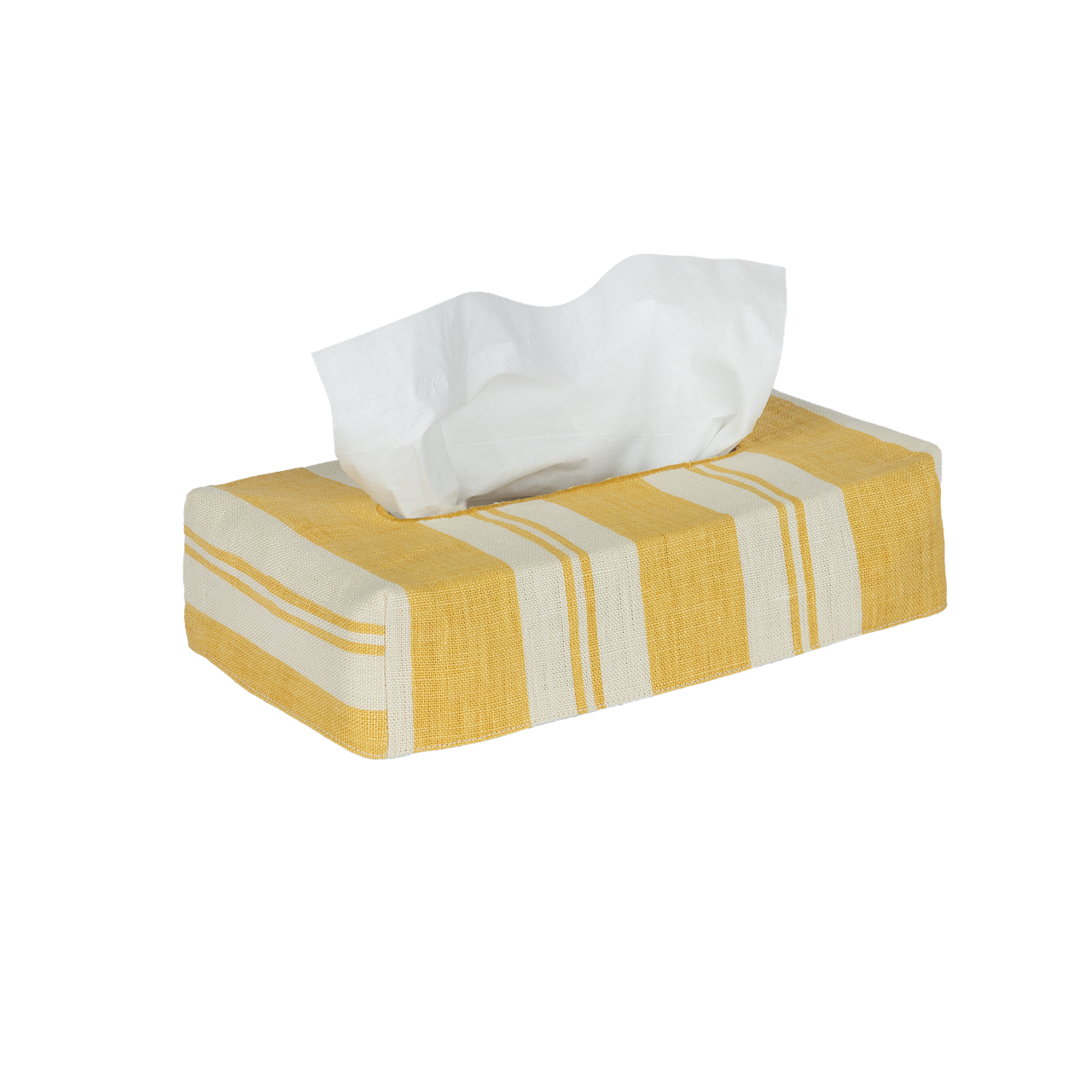 Skinny Raj Stripe Linen Tissue Box Cover