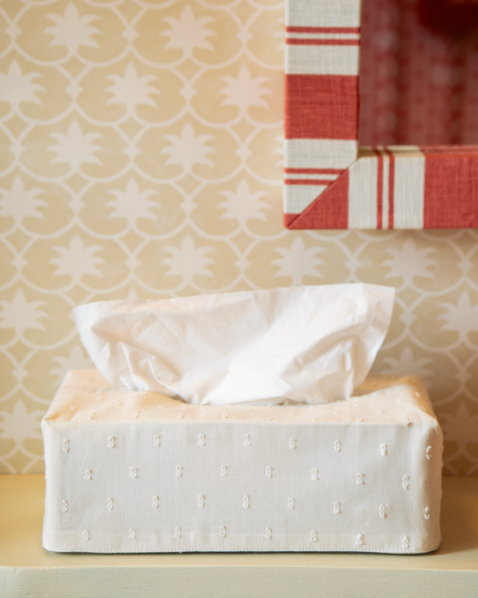 The OG Embroidered Swiss Dot Tissue Box Cover