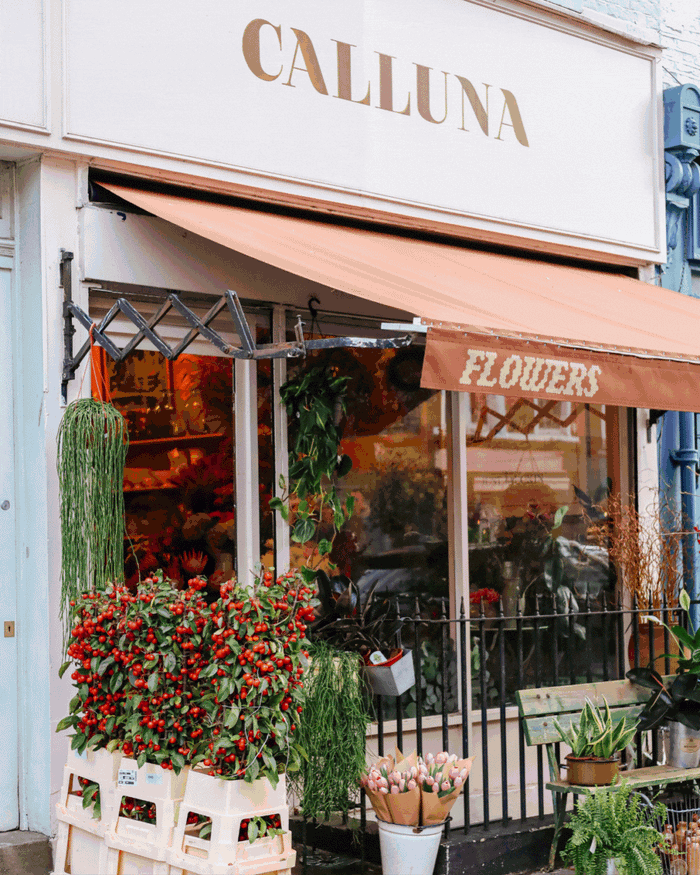 Alice s Guide To Golborne Road alice-s-guide-to-golborne-road