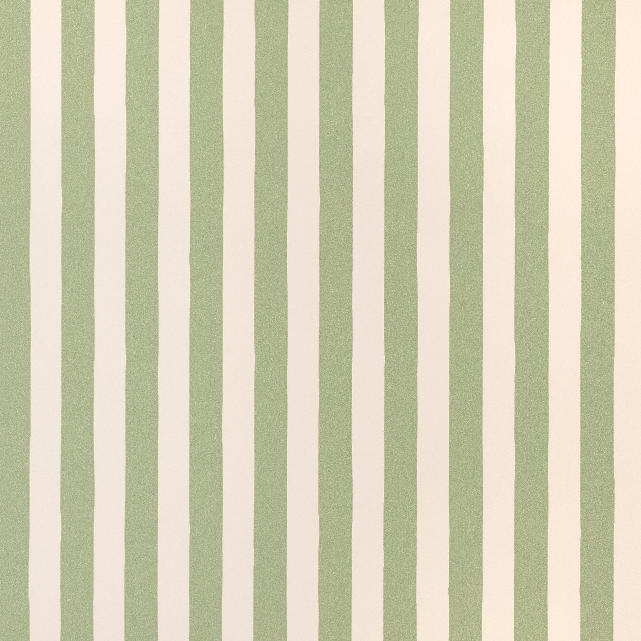 Tangier Olive Stripe Wallpaper - Alice Palmer & Co