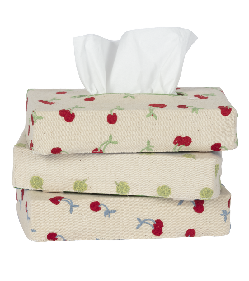 Skinny Embroidered Tissue Box Cover